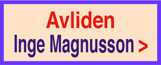 201127-avliden-magnusson-201117-135