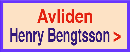 201128-henry-bengtsson-avliden-20118-135