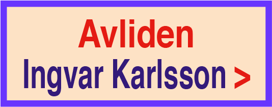 201224-avliden-ingvar-karlsson-201214-135