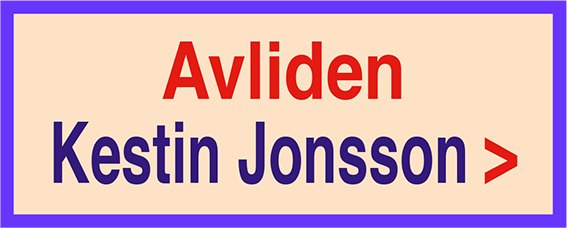 210205-avliden-kerstin-jonsson-210114-135