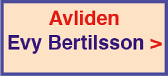 210217-evy-bertilsson-135