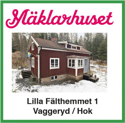 210319-maklarhuset-lilla-falthemmet-1-135