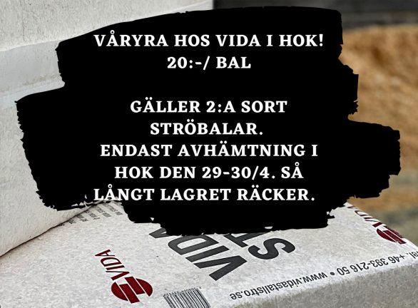 210430-vida-210428-x