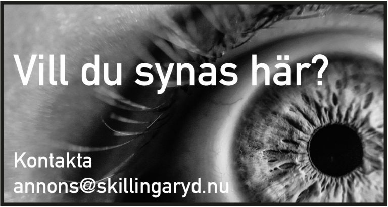 egen-reklam-synas-har
