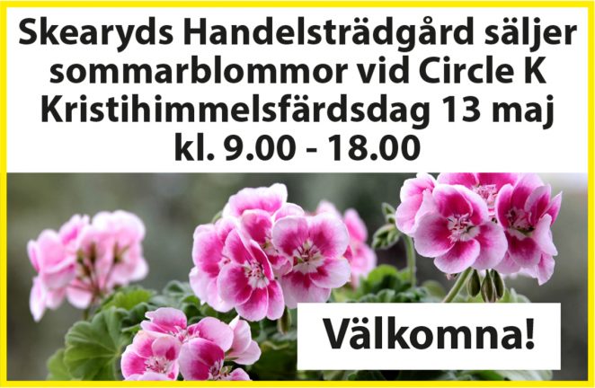 210513-skearyds-handelstradgard-sommarblommor-210510-x