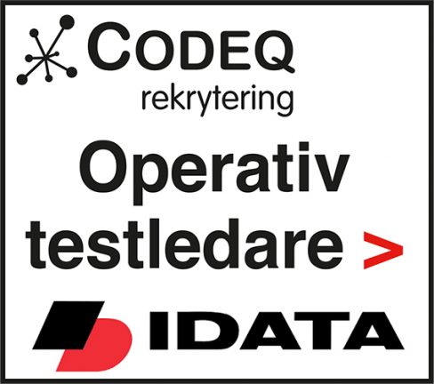 210603-codeq-testledare-210519-135