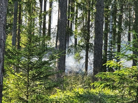 Skogsbrand vid Lomsjö