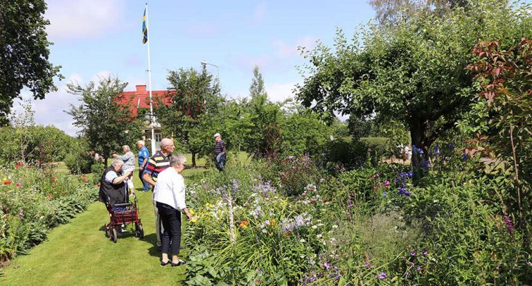 Vaggeryds trädgårdsförening bjuder in till öppna trädgårdar