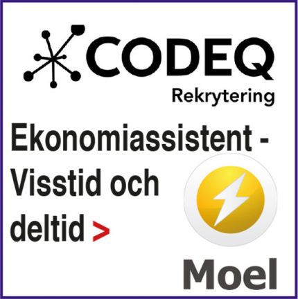 210812-codeq-moel-210706-135