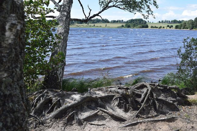 Sjöar och vattendrag undersöks i sommar