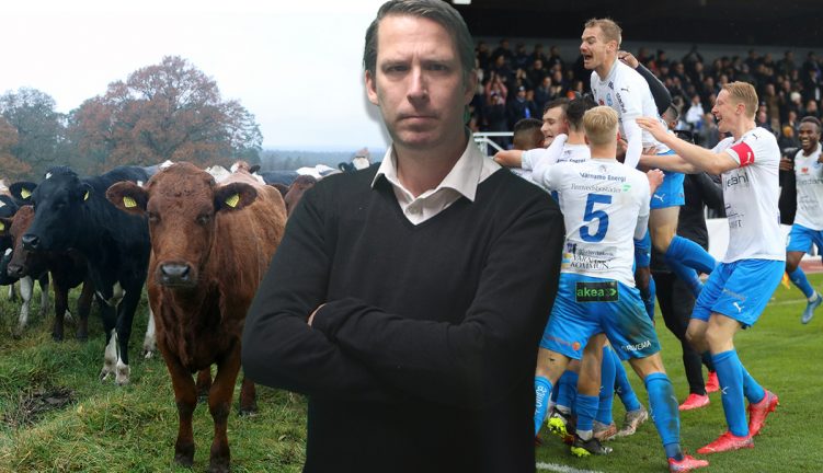 Skoglund: Alla har fel – Då uppstod ”Alla har en ko i Värnamo”