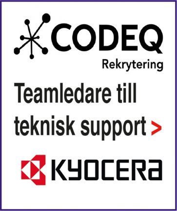 220531-codeq-temleader-220518-135