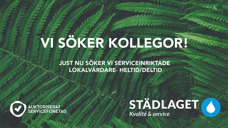 220826-stadlaget-kollega-220819-x