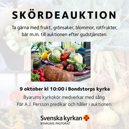 221009-Byarums-patorat-skordeauktion-221006-135.jpg