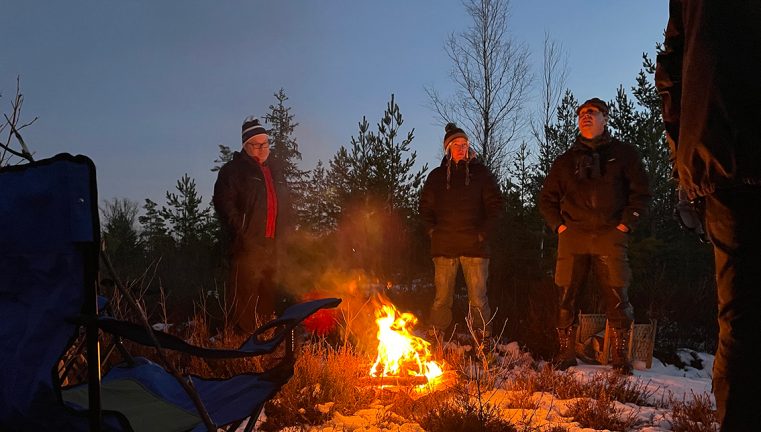 På ugglespaning i gammelskog