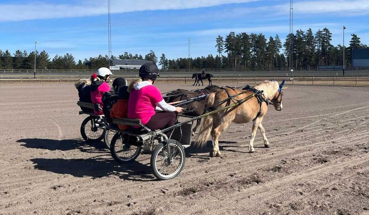 Succé på Hästens dag