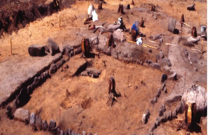 Stenar från Duveleds gravfält