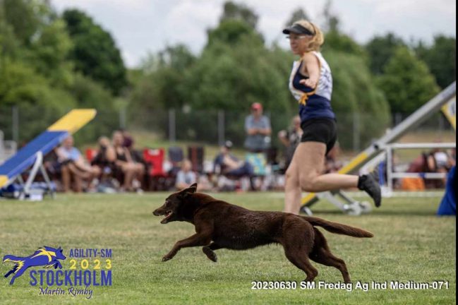 Jenny vann SM-guld i agility