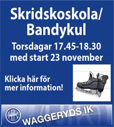 231123-WIK-bandy-231116-135