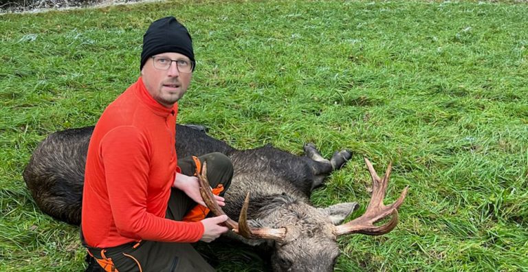 Sju älgar samtidigt på passet