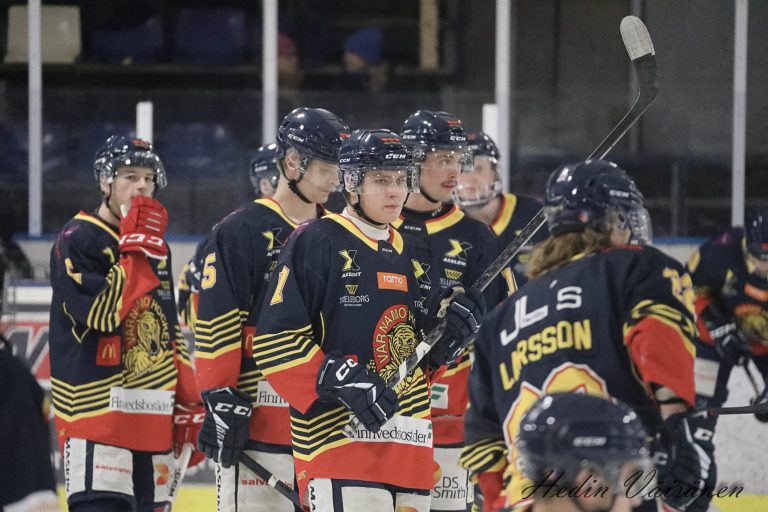 Ishockey, Bandy