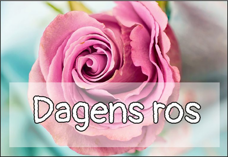 Dagens ros till Michel Magnusson och Eva Karlsson