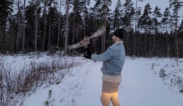 Nu är ugglan Hildegard hemma igen