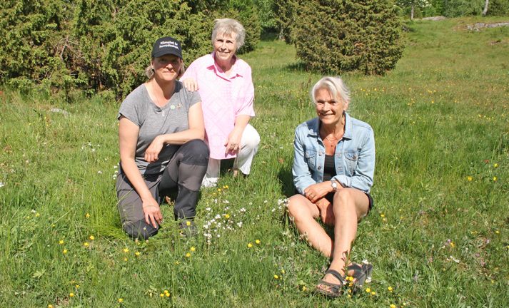 Miljöpartiet belyser biologisk mångfald