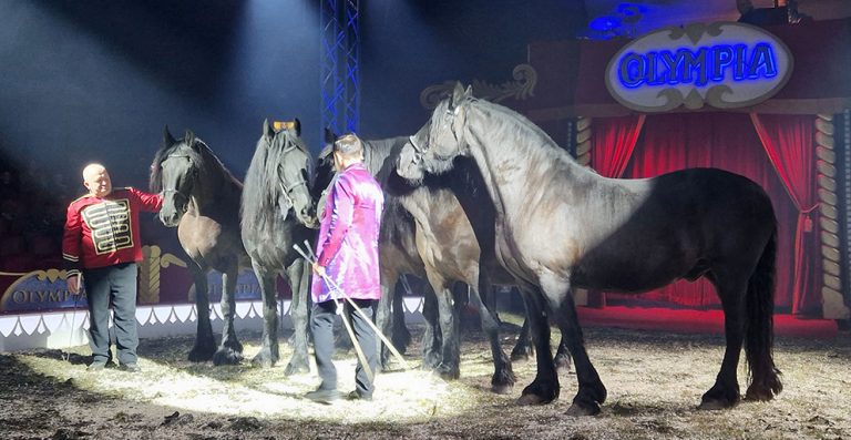 Cirkusen kom till byn