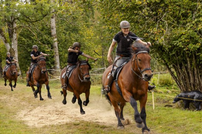 Bågskytte till häst i Hok under helgen