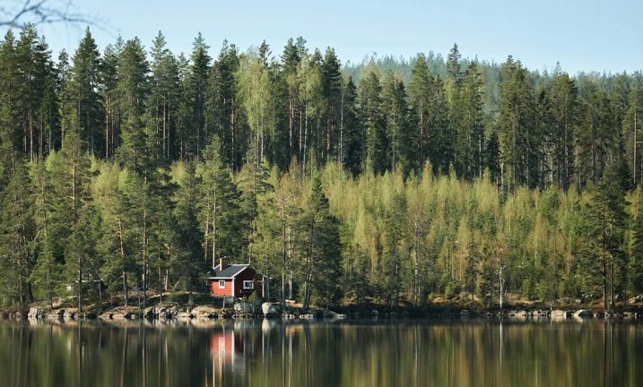 Så många strandskyddsdispenser godkändes i kommunen