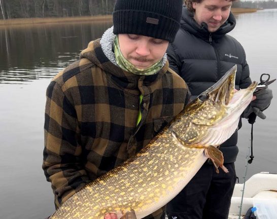 Bröderna håvade in rekordgädda