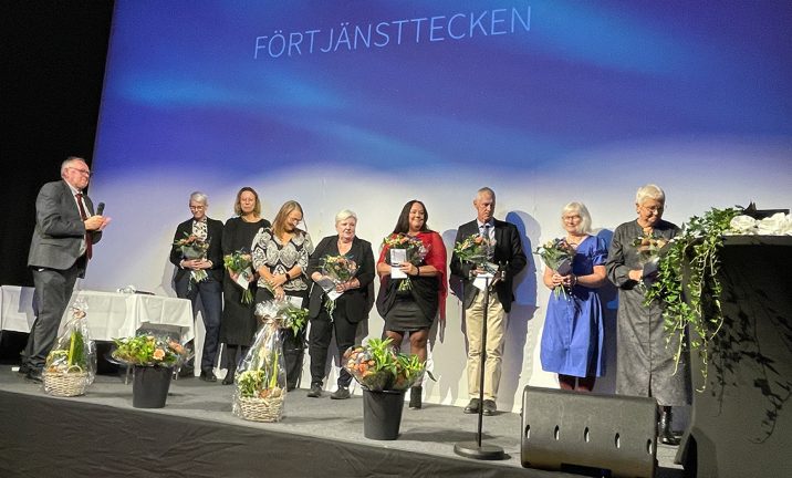 12 fick förtjänsttecken