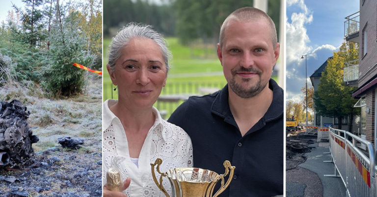 De mest klickade nyheterna 2024