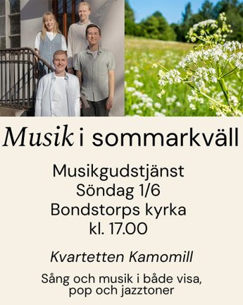 250601-Musik-i-sommarkvall