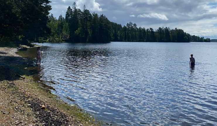 Parasiter i Rasjön – bada på egen risk