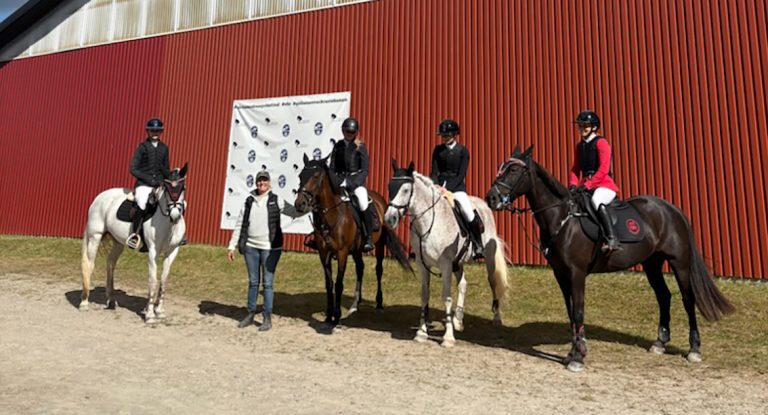 Fina insatser av ponnylaget