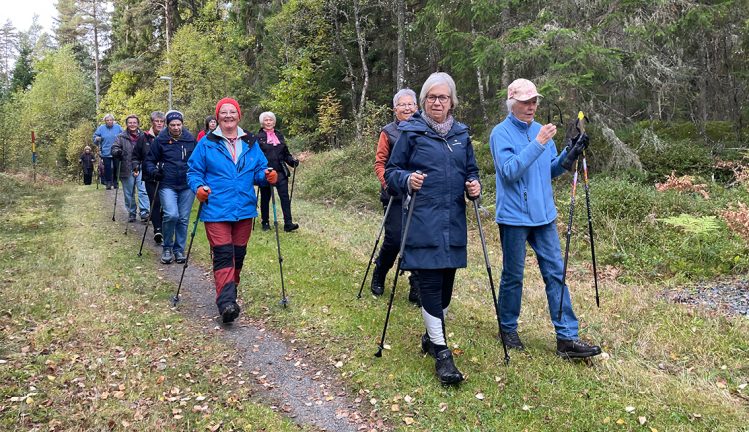 Seniorveckan tisdag: stavgången mer poppis än nånsin