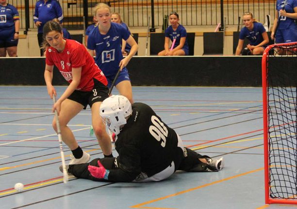 Bildextra: SIK-förlust i premiären