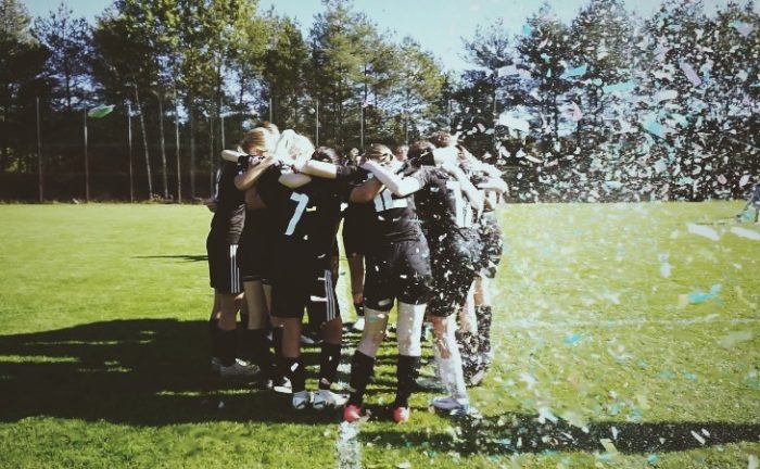 Skillingaryds IS F-12/13 vann seriespelet