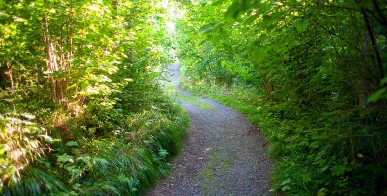 Smålandsleden utvecklas – naturbonus till Alnaberget
