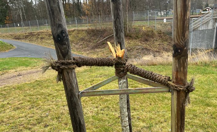 Skadegörelse vid förskola