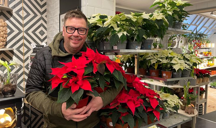 Blomsterhandlaren: Så sköter du växter på vintern