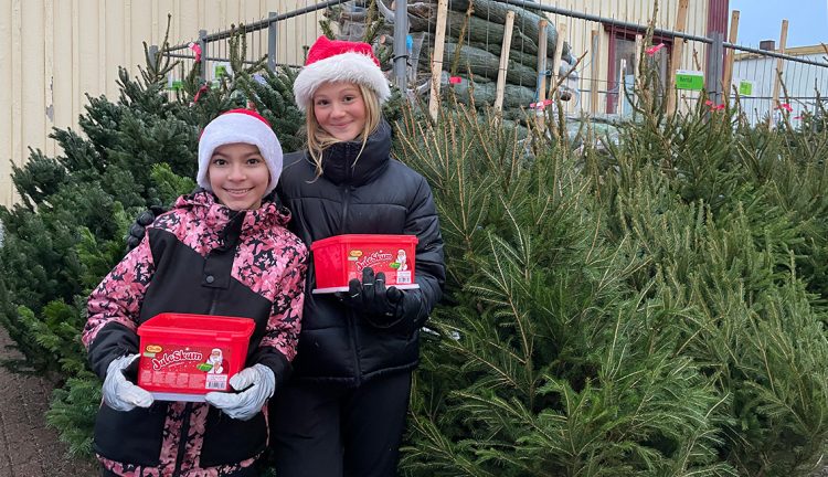 Lyckad julgransförsäljning på Vaggeryds julmarknad