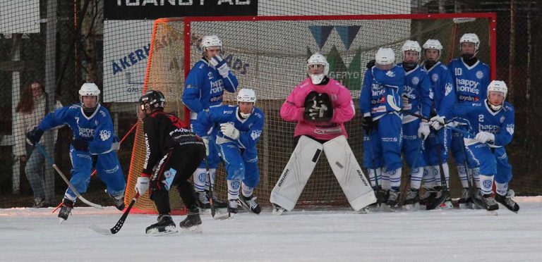 Här är veckans mest lästa artiklar