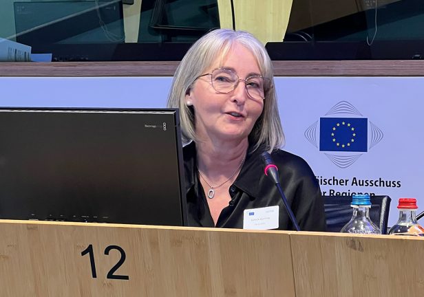 Från Sverige till Bryssel – kvinnors erfarenheter från landsbygden formar EU-projekt