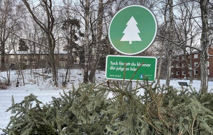 Återvinn julskräpet rätt – dumpa inte granen i naturen