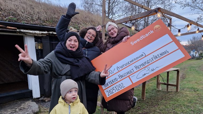 Belysningscheck till julmarknaden