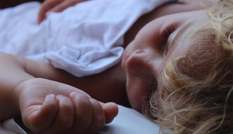 Nyheter i socialförsäkringen 2026 – här är listan