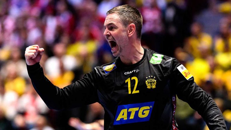 Palicka avslutade karriären i blågult